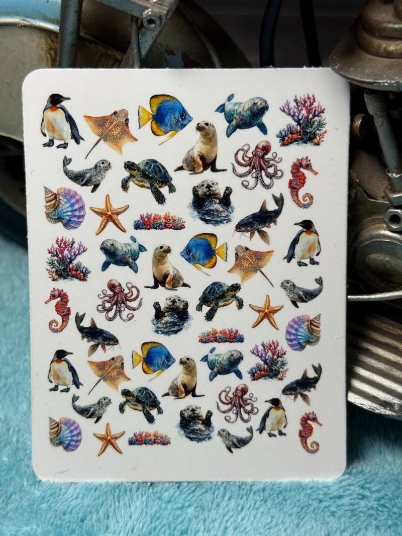 Meerestiere Wasser Nagelsticker, Wasserschiebe Abziehbild, Nailart Stickers Seelöwe Robbe, Pinguin, Seestern von Etsy - TheArtofNaildesign