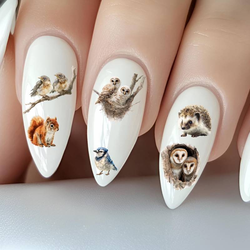 Niedliche Baby Wald Tiere Wasser Nagelsticker, Wasserschiebe Sticker Für Nägel Waldtiere, Igel, Eule, Eichhörnchen von Etsy - TheArtofNaildesign