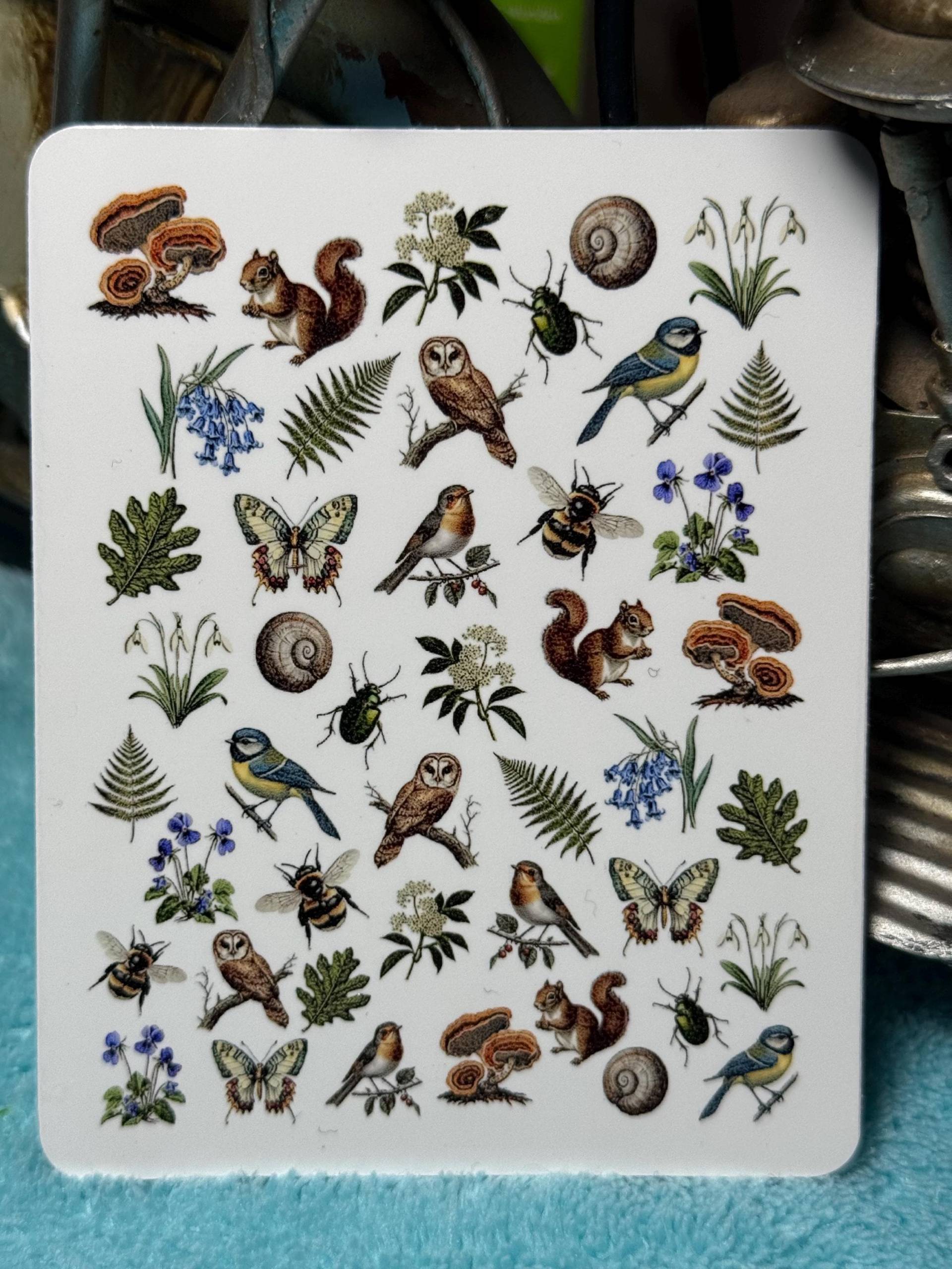 Vintage Natur Nailart Wasserschiebe Stickers Für Nägel, Nagelsticker Wildblumen, Waldtiere, Viktorianisch, Pilz, Insekten, Wald von Etsy - TheArtofNaildesign
