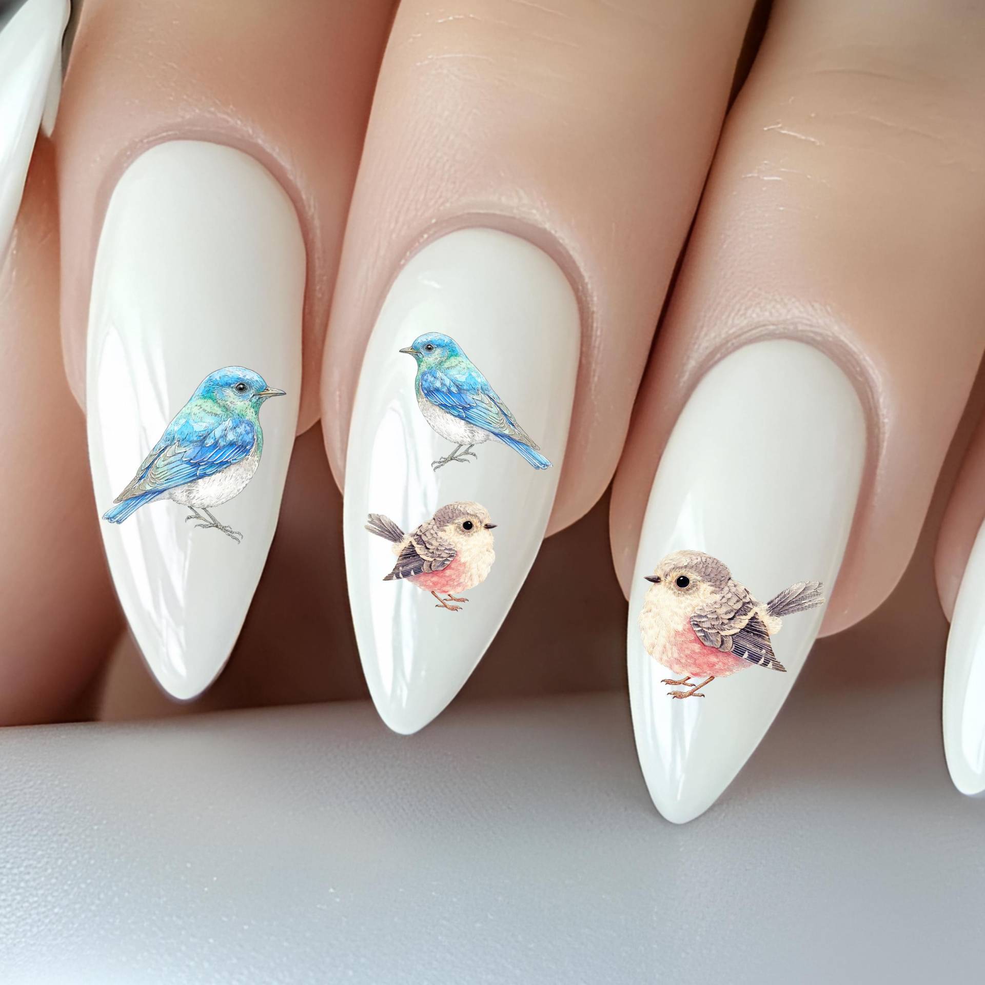 Vogel Wasser Nagelsticker, Wasserschiebe Sticker Für Nägel, Nagel Stickers Vögel, Singvogel von Etsy - TheArtofNaildesign