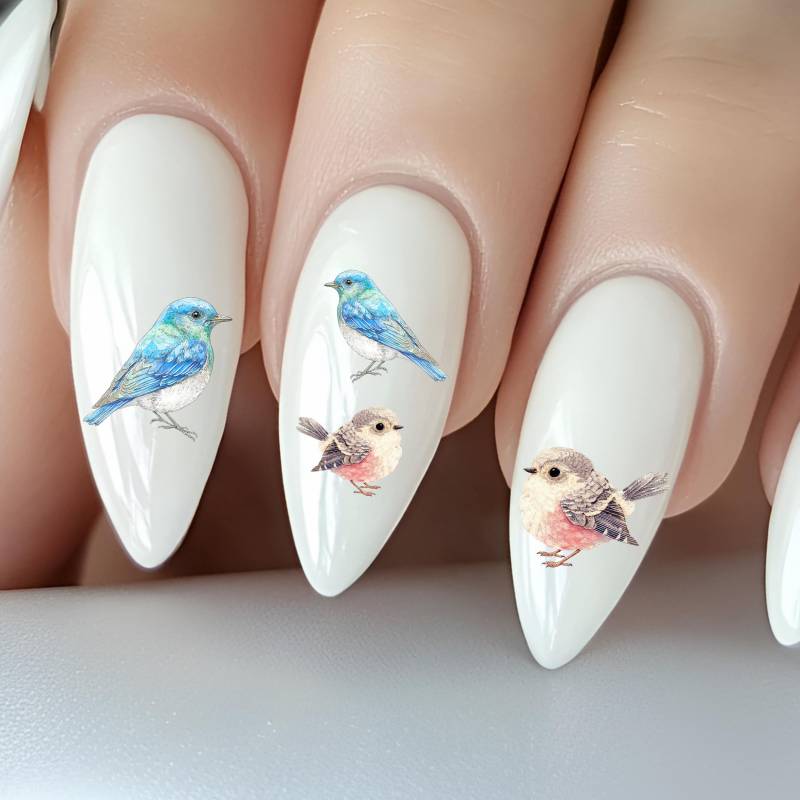 Vogel Wasser Nagelsticker, Wasserschiebe Sticker Für Nägel, Nagel Stickers Vögel, Singvogel von Etsy - TheArtofNaildesign