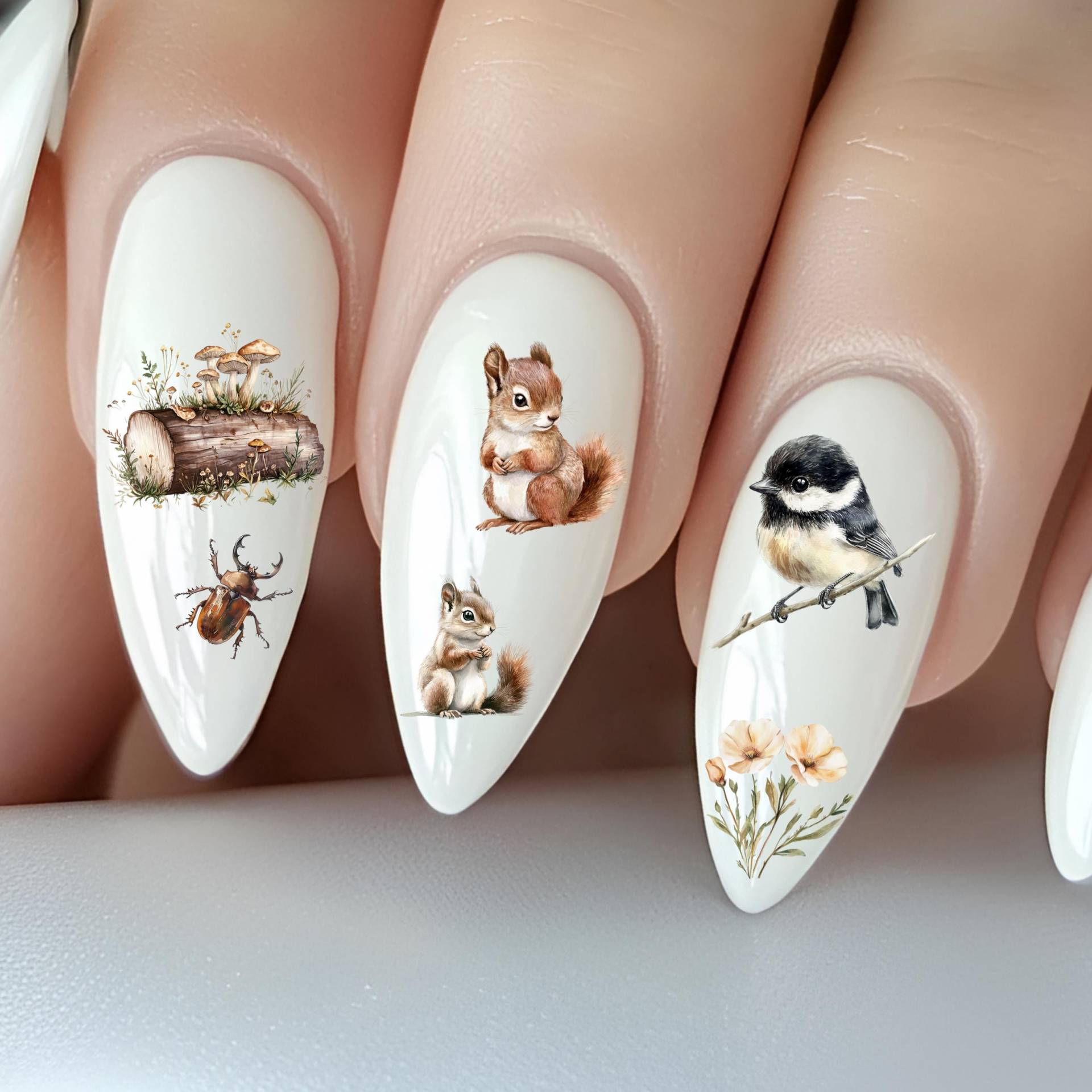 Waldtiere Wasser Nagelsticker, Wasserschiebe Stickers Nägel, Süße Tiere, Natur, Eichhörnchen, Bär, Igel Waldtiere Wasser Nagelsticker, Wasserschiebe Stickers Nägel, Süße Tiere, Natur, Eichhörnchen, Bär, Igel von Etsy - TheArtofNaildesign