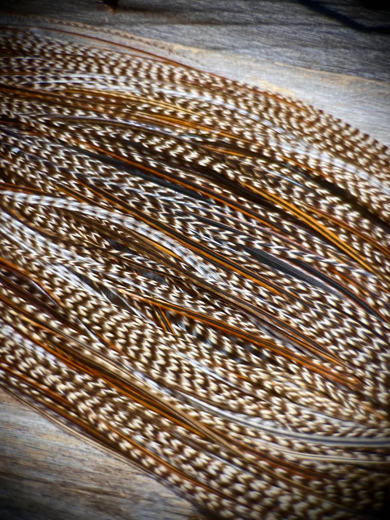 Grizzly & Cree Hahnenfeder - Feder Haarverlängerung 5 Echte Federn Boho Festival von Etsy - TheFeathersmiths