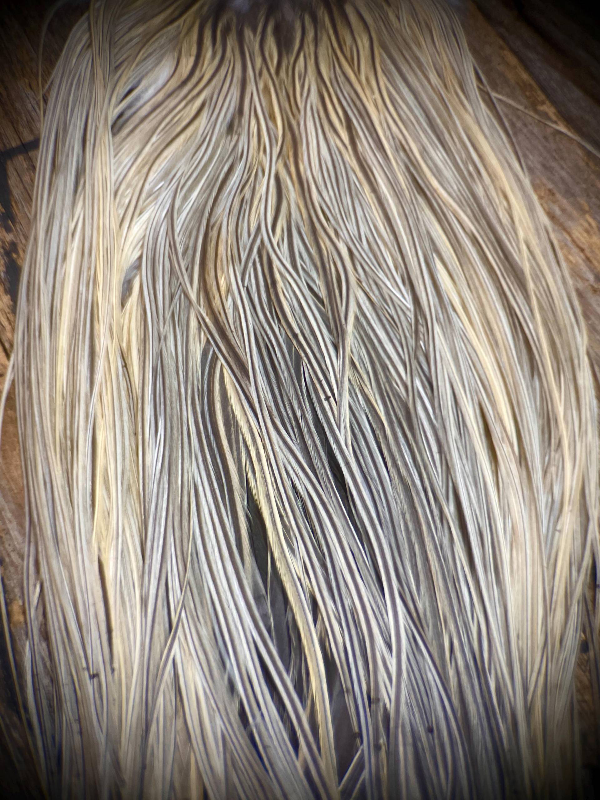 Natürliche Graue Hahnenfedern - Feder Haarverlängerungen 5 Echte Federn Boho Diy Natürliche Graue Hahnenfedern - Feder Haarverlängerungen 5 Echte Federn Boho Diy von Etsy - TheFeathersmiths