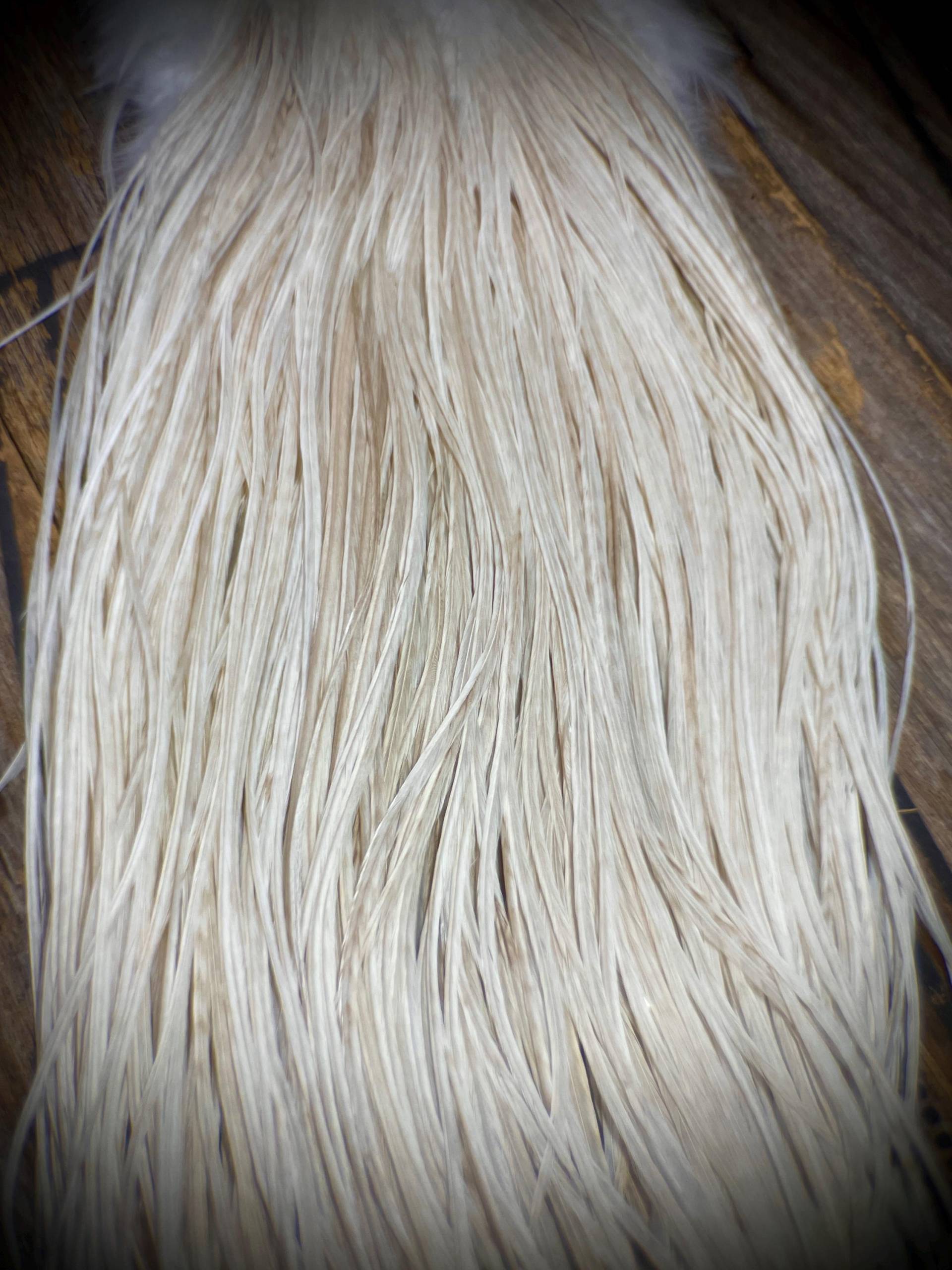 Platin Weiße Variante Hahn Federn - Feder Haarverlängerungen 5 Echte Boho Festival Haarverlängerung Platin Weiße Variante Hahn Federn - Feder Haarverlängerungen 5 Echte Boho Festival Haarverlängerung von Etsy - TheFeathersmiths