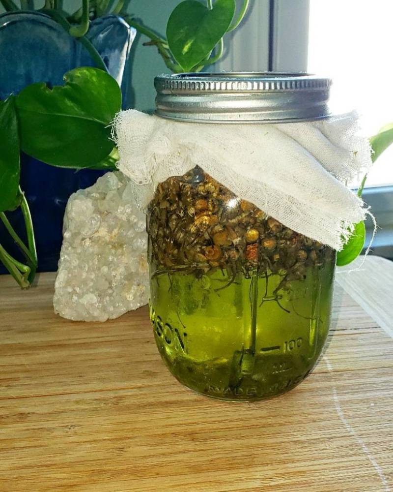 Volles Gefäß Aus Kamillenöl von Etsy - TheHerbalistsCabinet