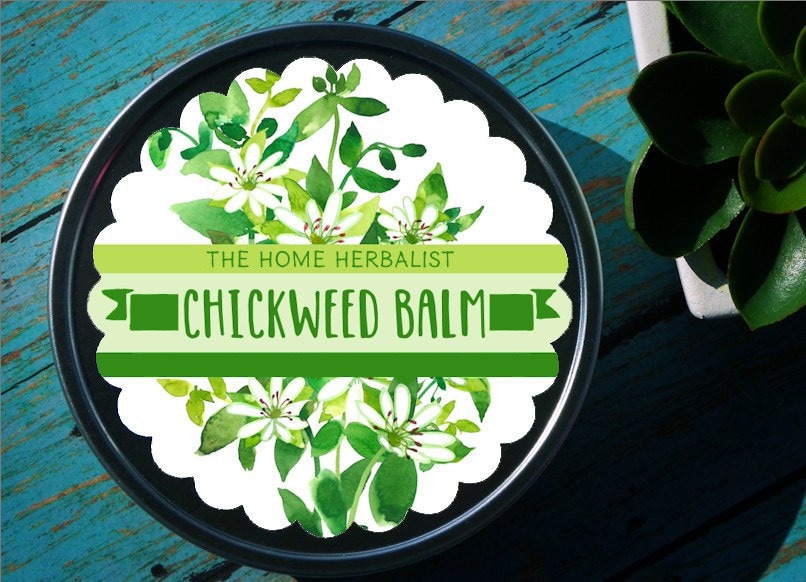 Vogelmiere-Balsam // 8Oz von Etsy - TheHomeHerbalist