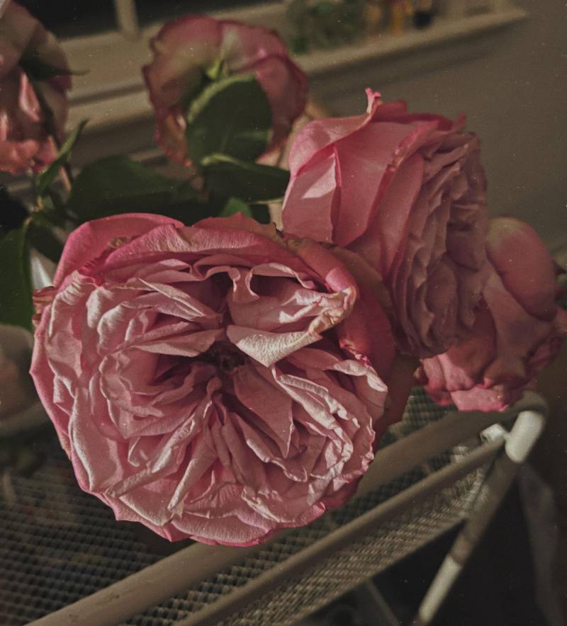 Anleitung Und Persönliche Blütenessenzmischung von Etsy - TrueEssenceAlchemy