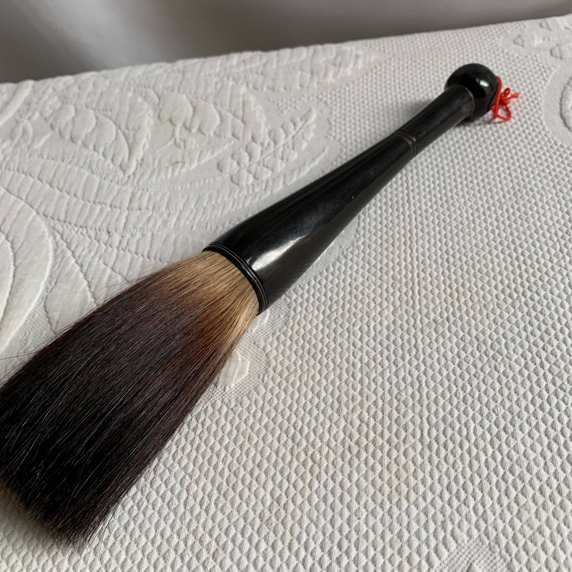 Vintage Bürste. Schwarzer Zelluloid Griff Mit Naturhaarborsten. Große Bürste Für Oder Antique Display Verwenden Vintage Bürste. Schwarzer Zelluloid Griff Mit Naturhaarborsten. Große Bürste Für Oder Antique Display Verwenden von Etsy - VeryVictorianStudio