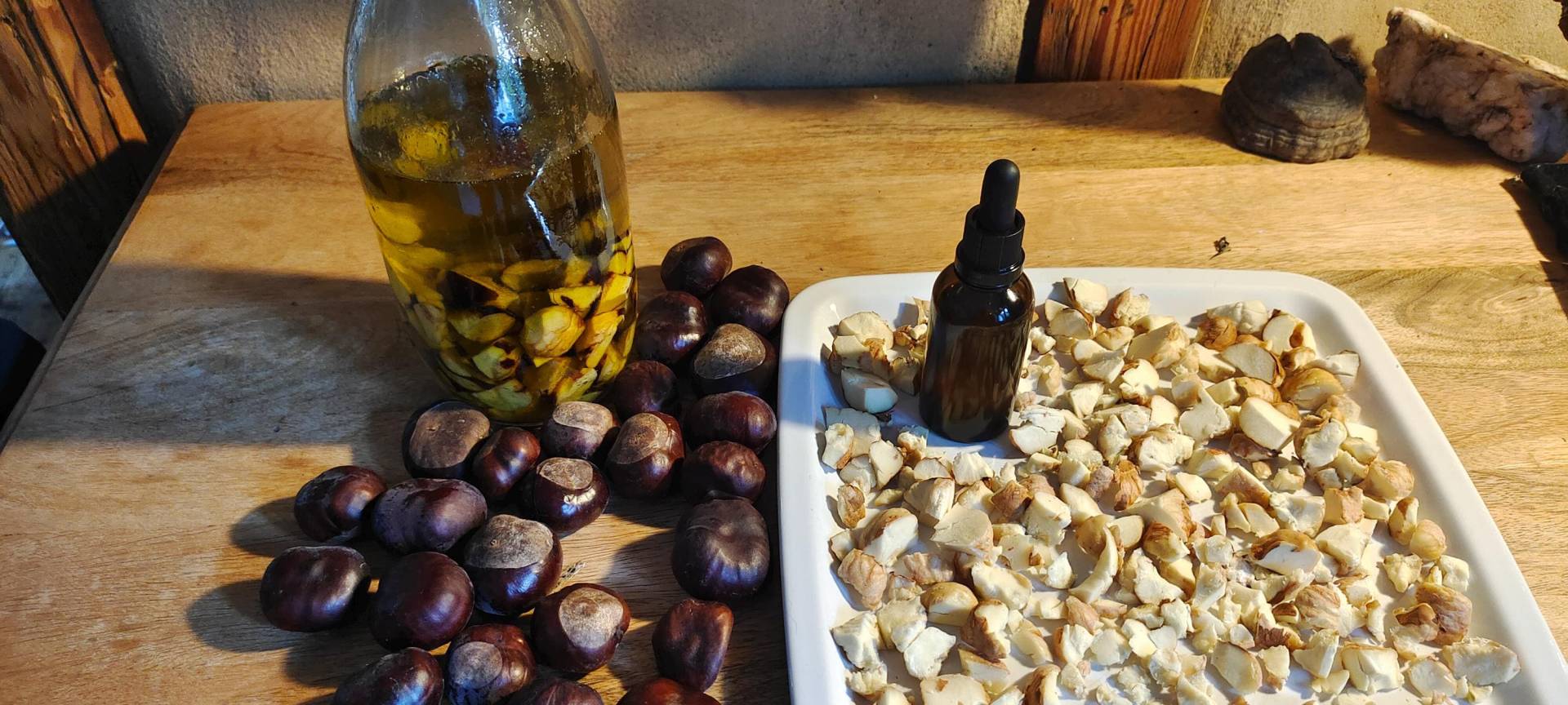 Rosskastanienöl von Etsy - Waldlaedchen