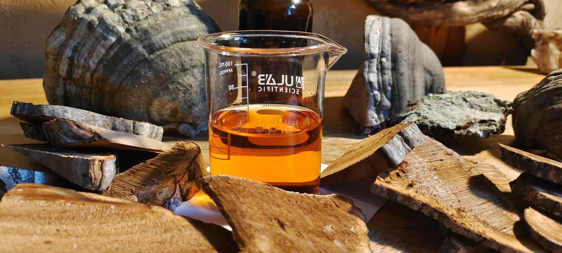 Zunderschwamm Tinktur, 40% Alkohol, 100 Ml Tropfflasche von Etsy - Waldlaedchen