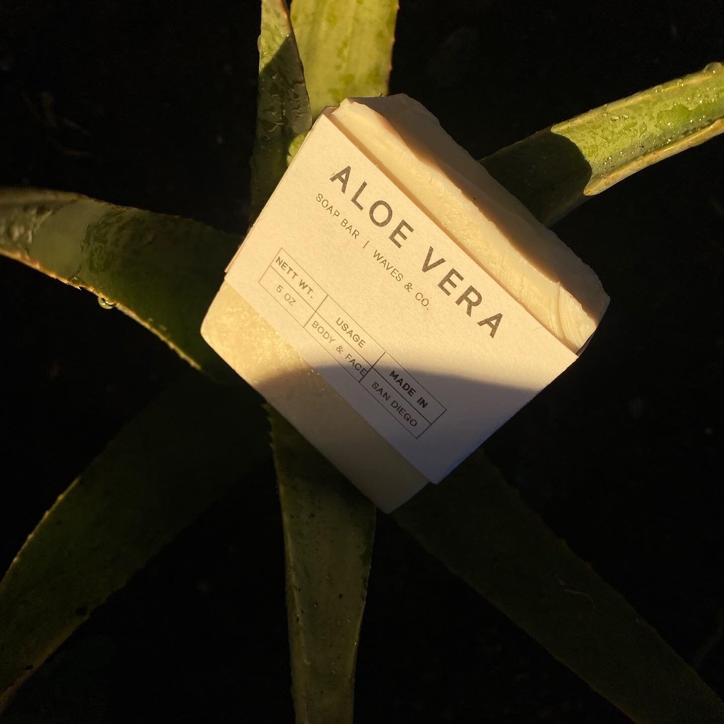 Aloe Vera Aloe Vera von Etsy - WavesanddCo
