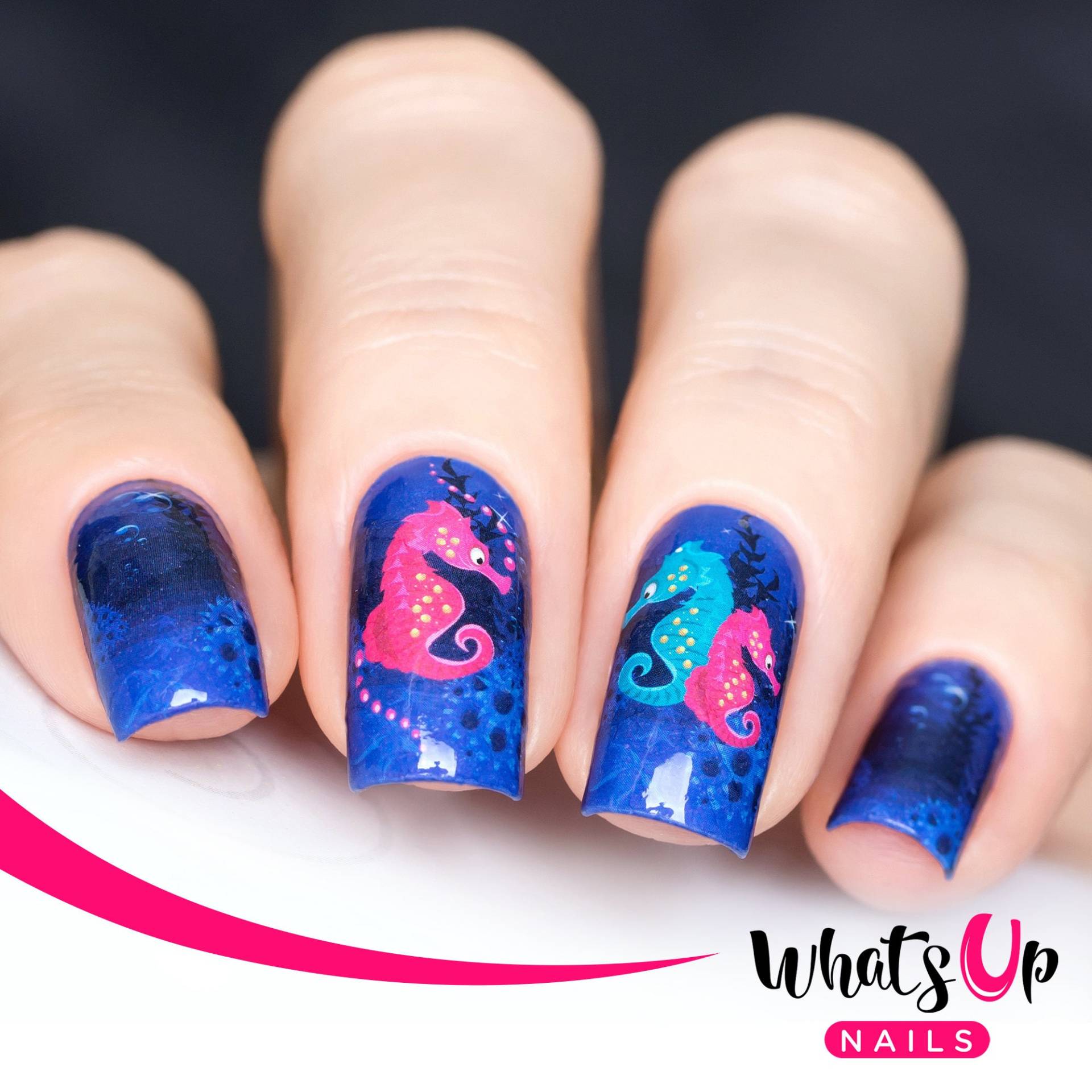 Whats Up Nails - P006 I Seepferdchen Wasser Decals Schieber Für Das Nail Art Design Whats Up Nails - P006 I Seepferdchen Wasser Decals Schieber Für Das Nail Art Design von Etsy - WhatsUpNails