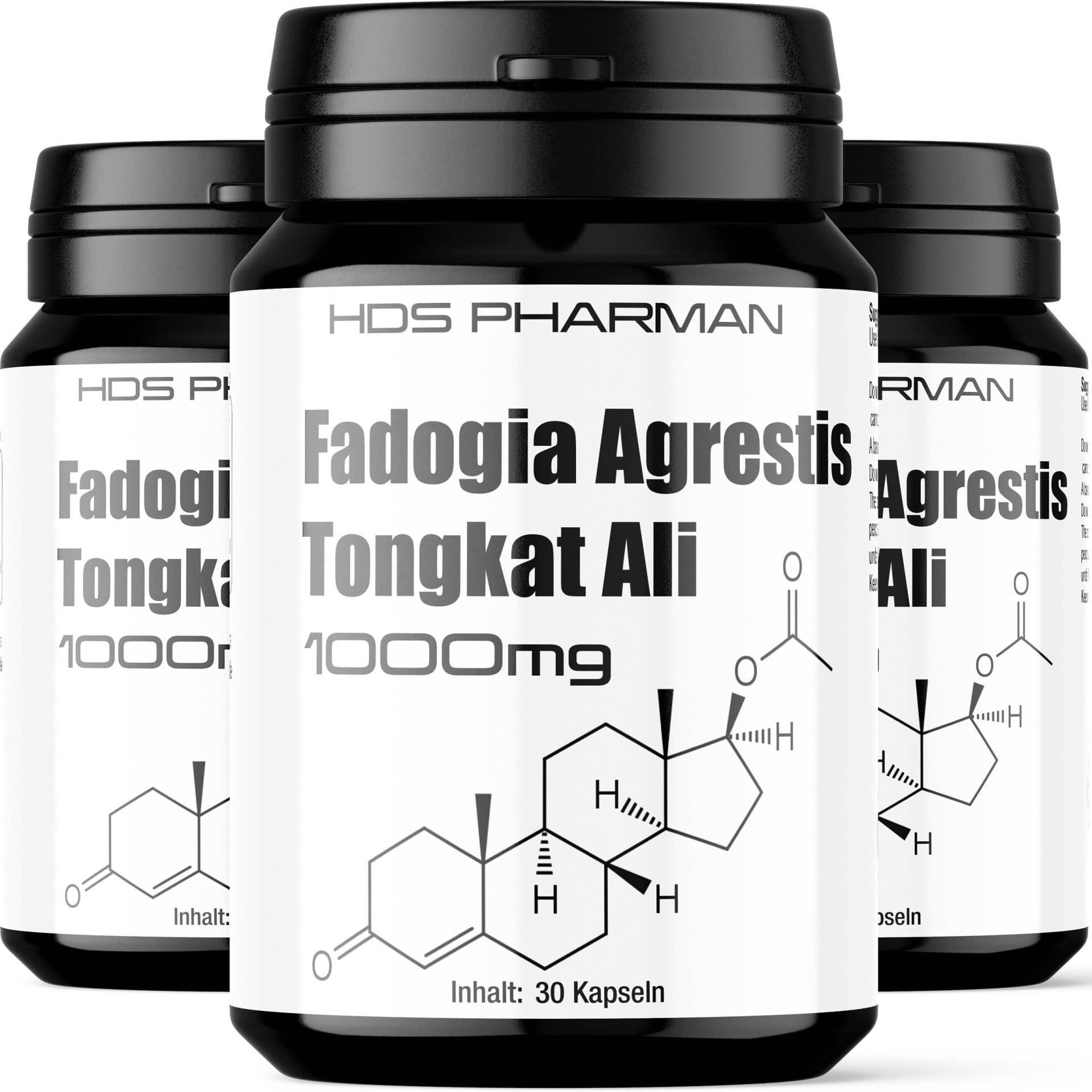 3 X Fadogia + Tongkat Ali 1000Mg 3 X Fadogia + Tongkat Ali 1000Mg von Etsy - WildRootNatural