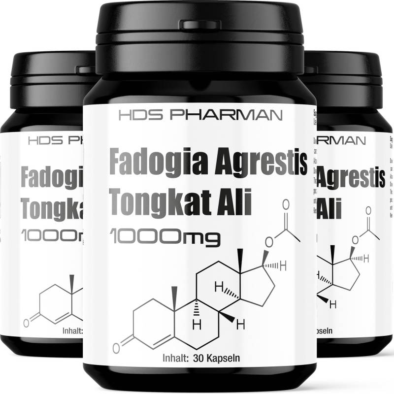 3 X Fadogia + Tongkat Ali 1000Mg 3 X Fadogia + Tongkat Ali 1000Mg von Etsy - WildRootNatural