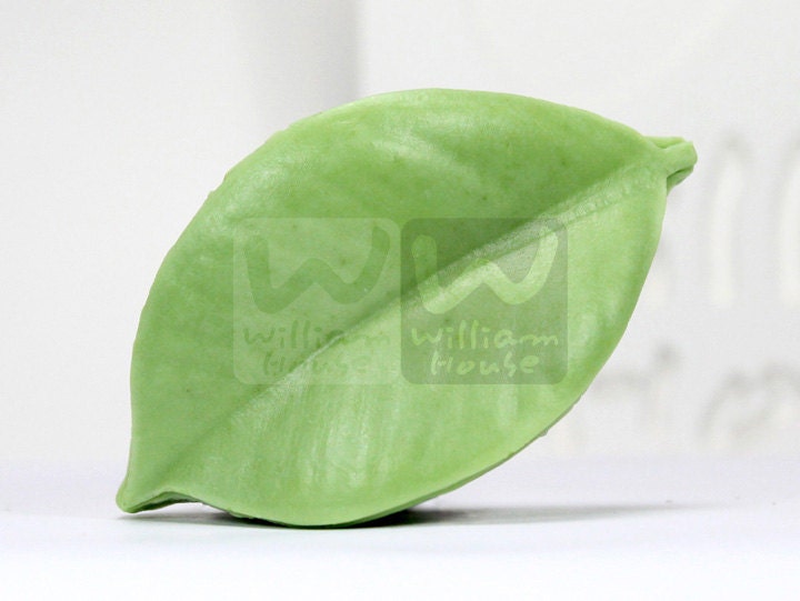 Ein Blatt - Handgemachtes Design Seifenform von Etsy - WilliamhouseKorea