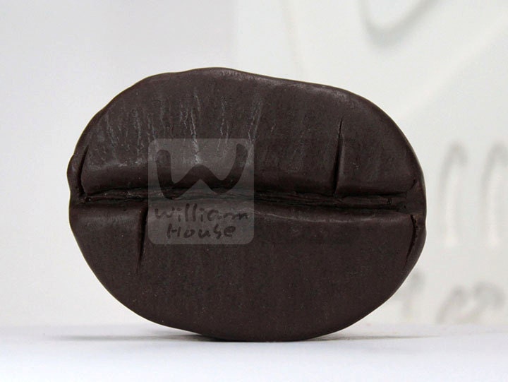 Getreide Kaffeebein - Handgemachte Design Seife Form von Etsy - WilliamhouseKorea