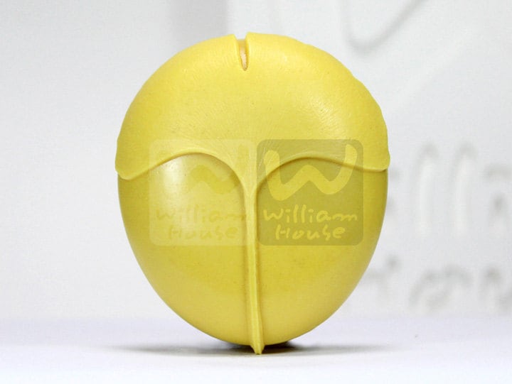 Ginkgo Blatt I - Handgemachte Design Seife Form von Etsy - WilliamhouseKorea