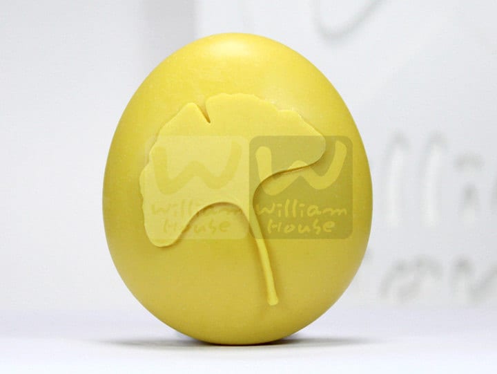 Ginkgo Blatt Ii - Handgemachte Design Seife Form von Etsy - WilliamhouseKorea
