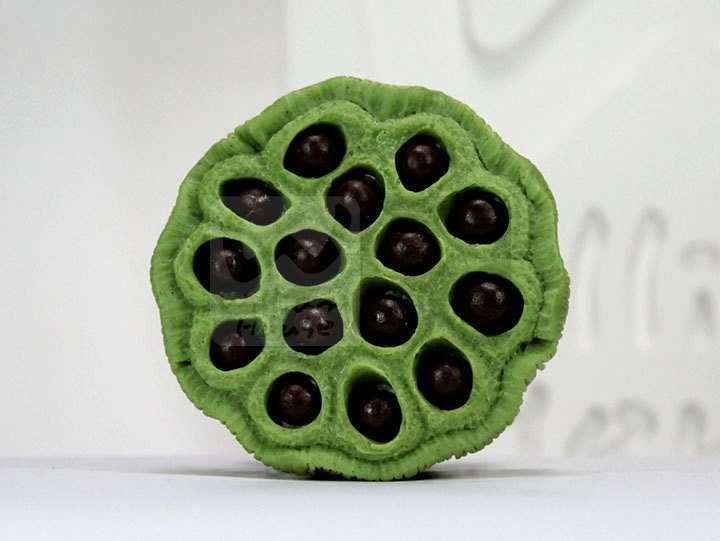 Lotus Obst - Handgefertigte Design Soap Mold Lotus Obst - Handgefertigte Design Soap Mold von Etsy - WilliamhouseKorea