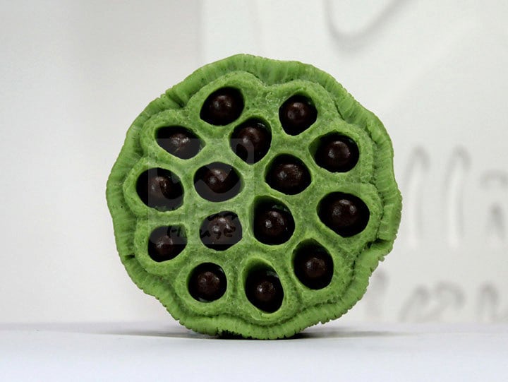 Lotus Obst - Handgefertigte Design Soap Mold von Etsy - WilliamhouseKorea