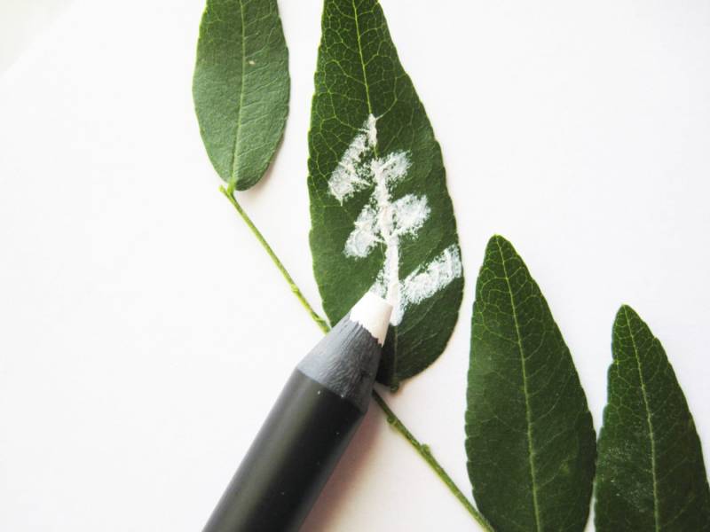 Water Lily - Natürlicher Mineral Eye Liner Stift Water Lily - Natürlicher Mineral Eye Liner Stift von Etsy - WillowTreeMinerals