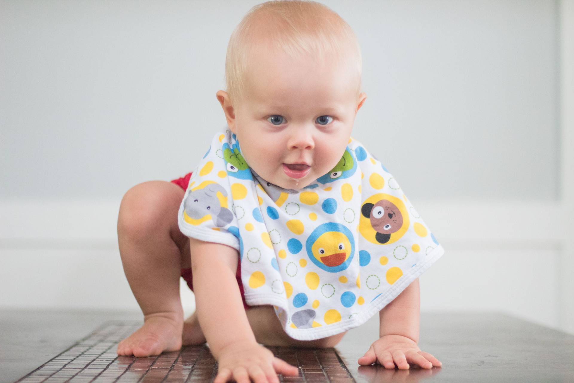 Baby Animal Print Lätzchen 2-In-1 Spucktuch, Baumwoll Jersey Strick von Etsy - Yikestwins