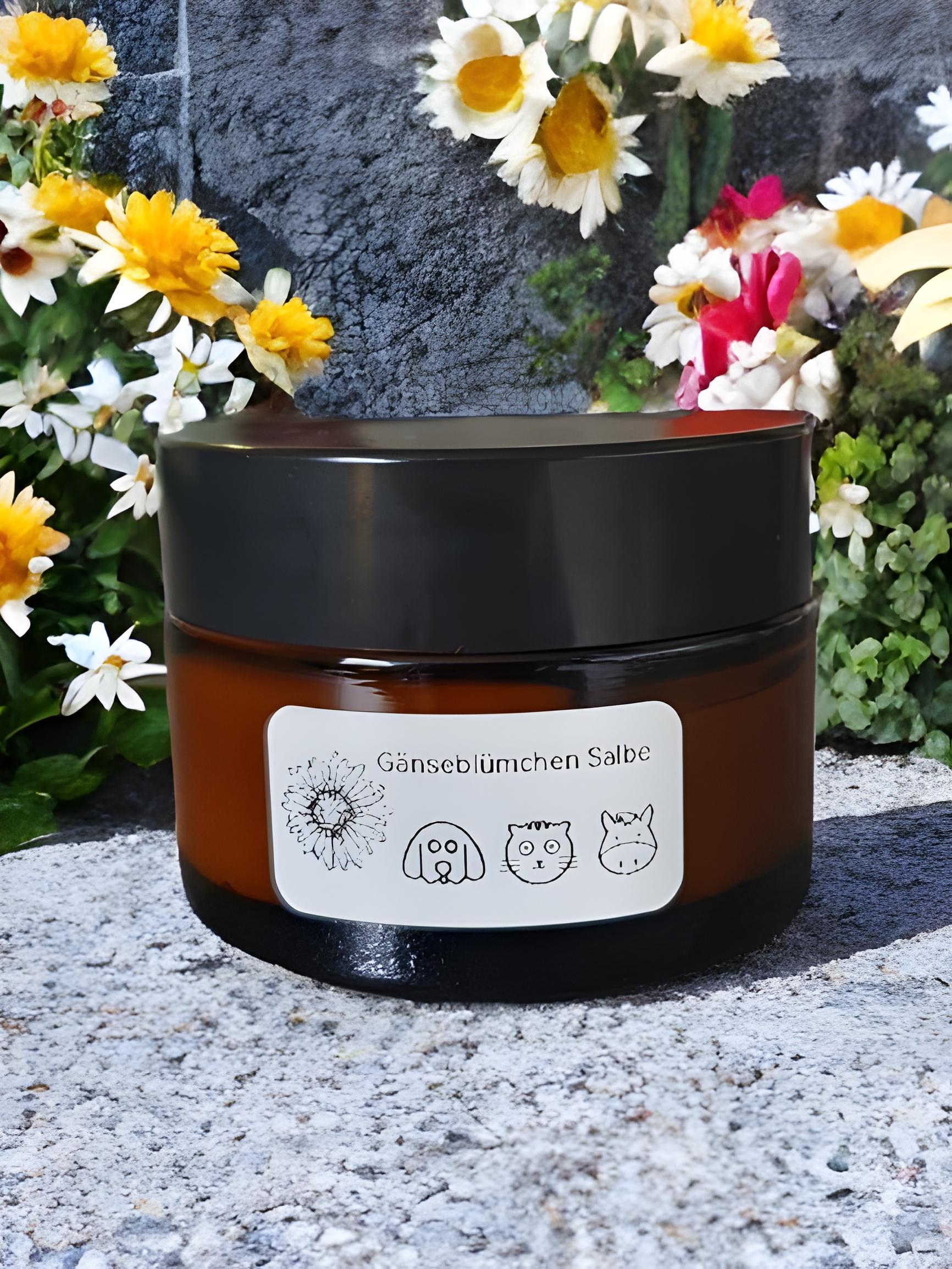 Gänseblümchensalbe Gänseblümchensalbe von Etsy - ZaubertruheShop