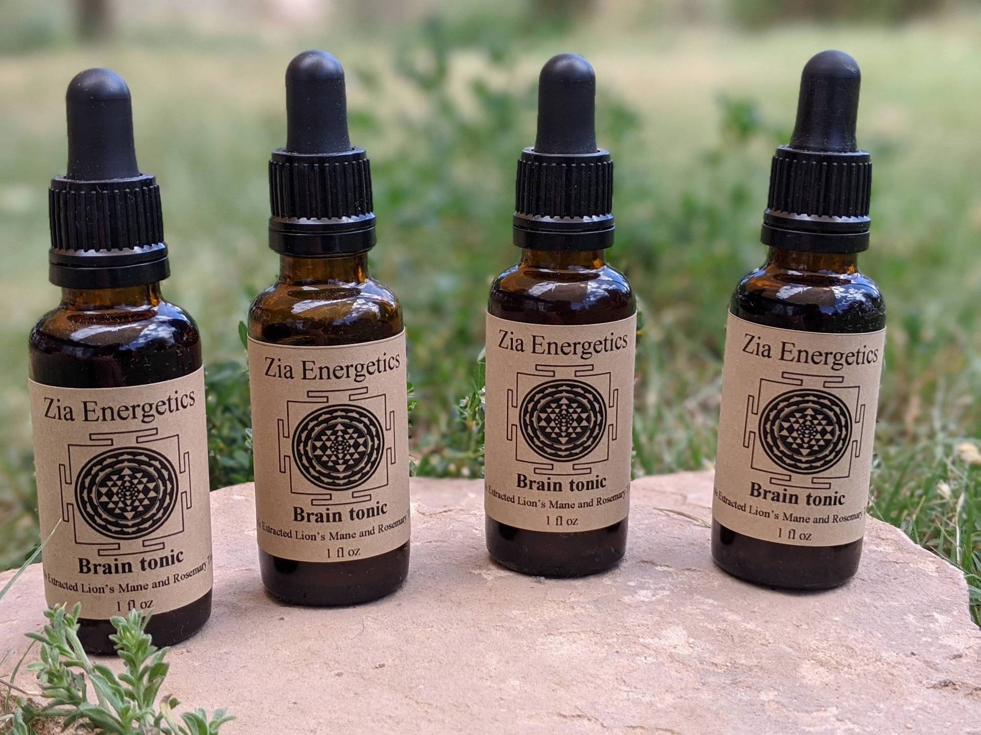 Gehirnstärkung, | Dreifach Extrahierter Löwenmähnenpilz Mit Rosmarin von Etsy - Ziaherbs