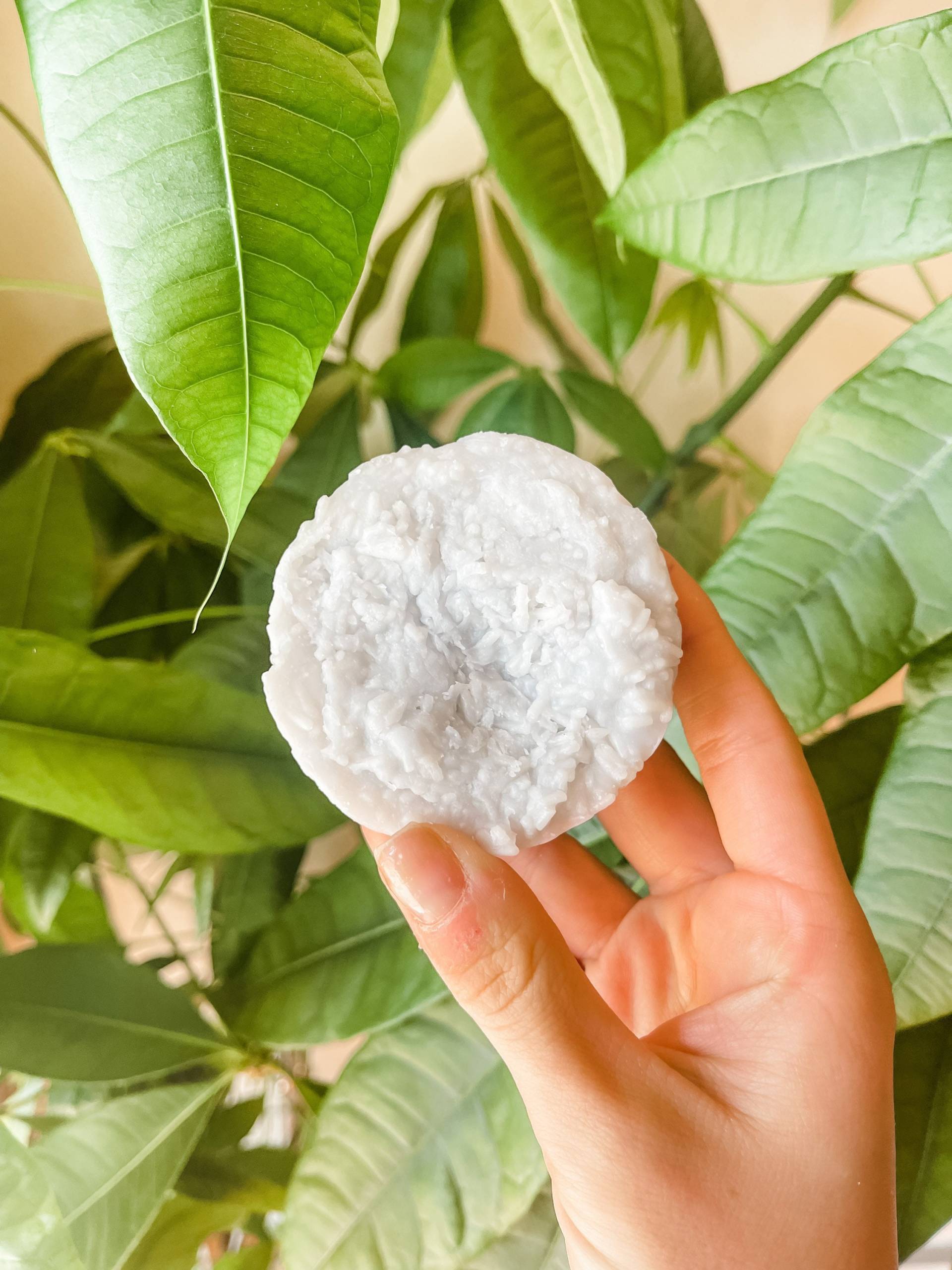 Feste Shampoo Bar Zero Waste Shampoo, Sanftes Shampoo. Reiseshampoo. Camping Seife Feste Shampoo Bar Zero Waste Shampoo, Sanftes Shampoo. Reiseshampoo. Camping Seife von Etsy - agirlandagoat