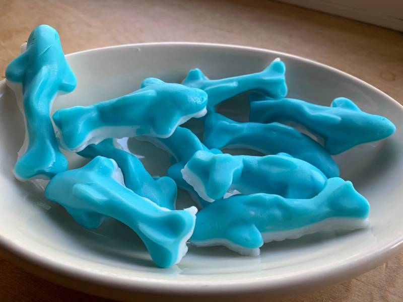 Gummy Candy Seife - Gummi Shark Fun Seifen Gummy Candy Seife - Gummi Shark Fun Seifen von Etsy - ajsweetsoap