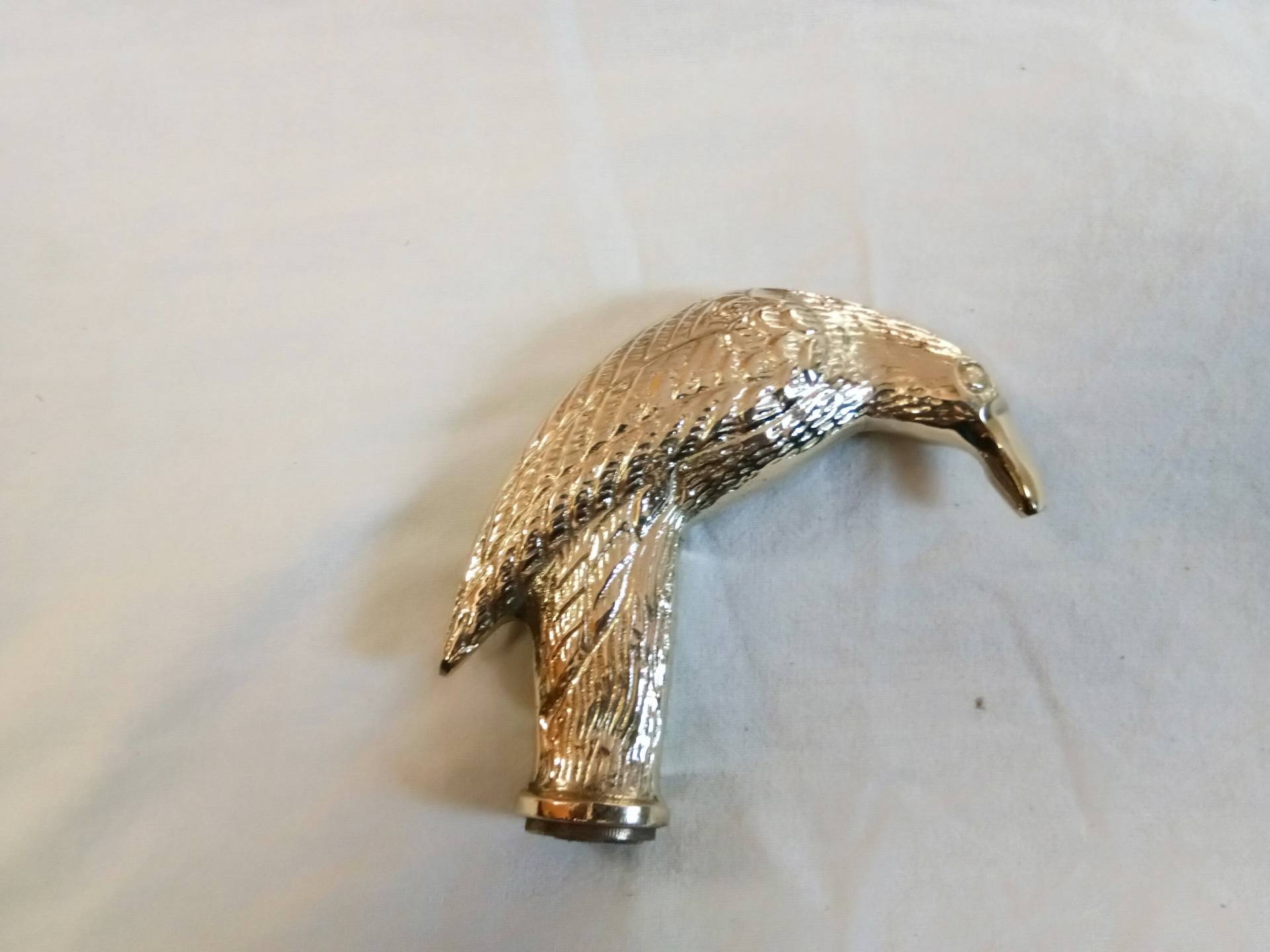 Messing Griff in Form Eines Adlers Für Gehstock von Etsy - ancestorantiques