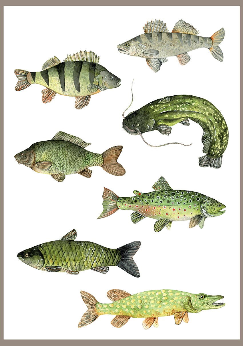 Set Von Temporären Tattoos | Mit Fischbildern Original Semi Permanentes Tattoo Aquarell-Fake-Tattoo Set Von Temporären Tattoos | Mit Fischbildern Original Semi Permanentes Tattoo Aquarell-Fake-Tattoo von Etsy - ePipi
