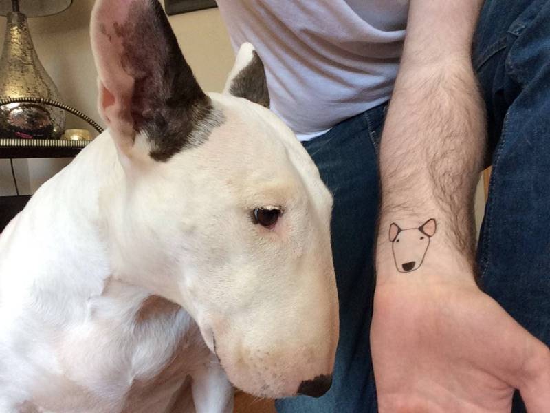 Temporäre Tattoos Von Ihrem Haustier | Ein A4 Blatt Voll Ich Kann Jedes Tier, Vogel Oder Reptil Zeichnen von Etsy - emilydevineart