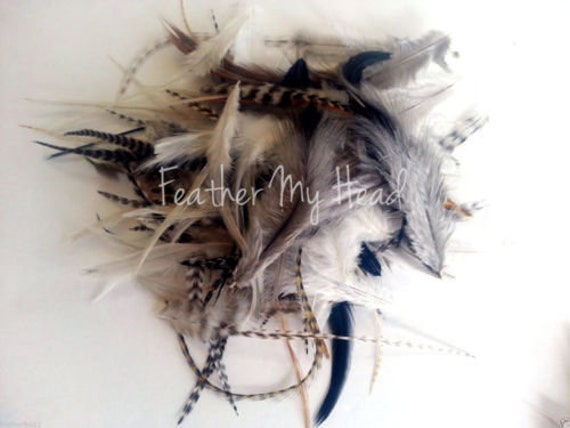 Echte Naturfedern - Kurz Basteln, Schmuck, Fliegenbinden, Traumfänger, Haare, Haustiere Echte Naturfedern - Kurz Basteln, Schmuck, Fliegenbinden, Traumfänger, Haare, Haustiere von Etsy - feathermyhead