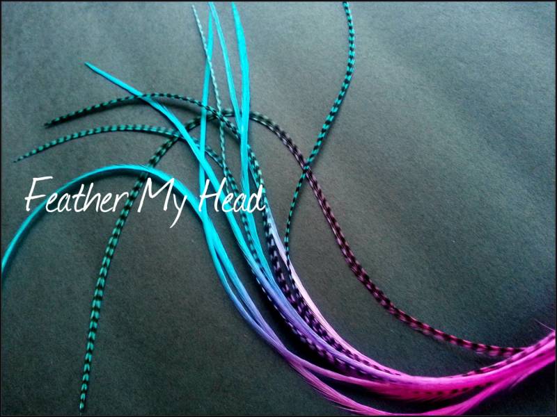 Feder Haarverlängerung | En Super Long 11-14 "(23 cm - 31 cm Premium Grade Wählen Sie Ihre Farben Bunt Regenbogen Bitte Lesen Details von Etsy - feathermyhead