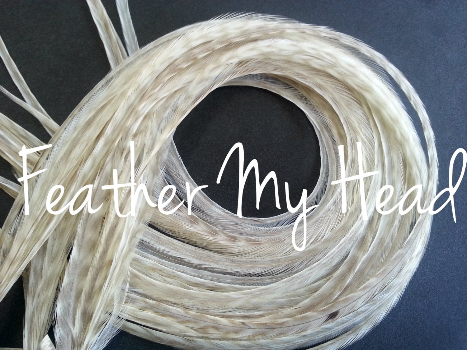 Feder Haarverlängerung | En Extra Lang 11 "-14" | 28cm - 36cm Premium Grade Wählen Sie Ihre Farben Aus Bitte Lesen Die Details Feder Haarverlängerung | En Extra Lang 11 "-14" | 28cm - 36cm Premium Grade Wählen Sie Ihre Farben Aus Bitte Lesen Die Details von Etsy - feathermyhead