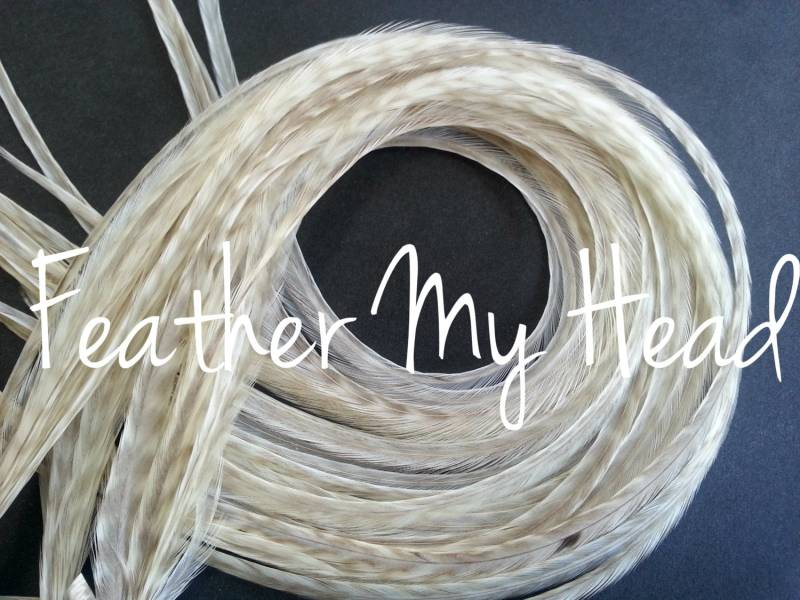 Feder Haarverlängerung | En Extra Lang 11 "-14" | 28cm - 36cm Premium Grade Wählen Sie Ihre Farben Aus Bitte Lesen Die Details Feder Haarverlängerung | En Extra Lang 11 "-14" | 28cm - 36cm Premium Grade Wählen Sie Ihre Farben Aus Bitte Lesen Die Details von Etsy - feathermyhead
