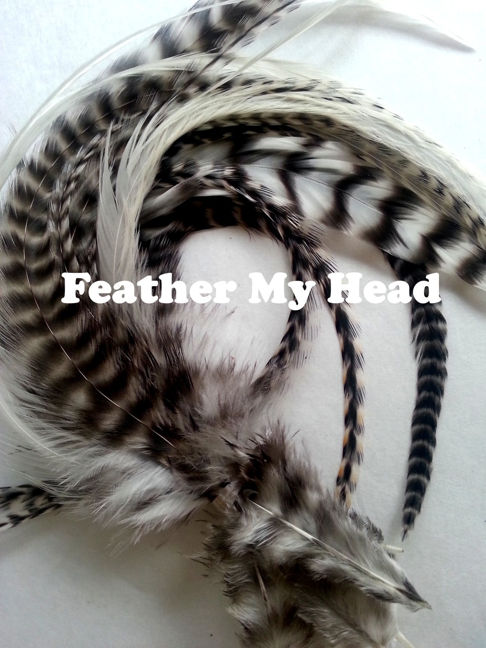 Feder Haarverlängerungen - Natürlicher Schwarz-Weißer Grizzlybär Breite Akzentfedern 7 "- 11 "Lang | 17, 78 cm 27, 94 cm von Etsy - feathermyhead
