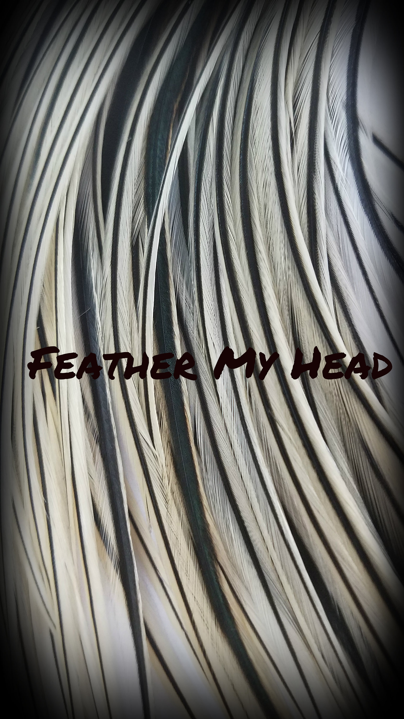 Haar Feder Verlängerungen - Premium Grade Euro Federn Wählen Sie Ihre Länge Natürlicher Dachs Haar Feder Verlängerungen - Premium Grade Euro Federn Wählen Sie Ihre Länge Natürlicher Dachs von Etsy - feathermyhead