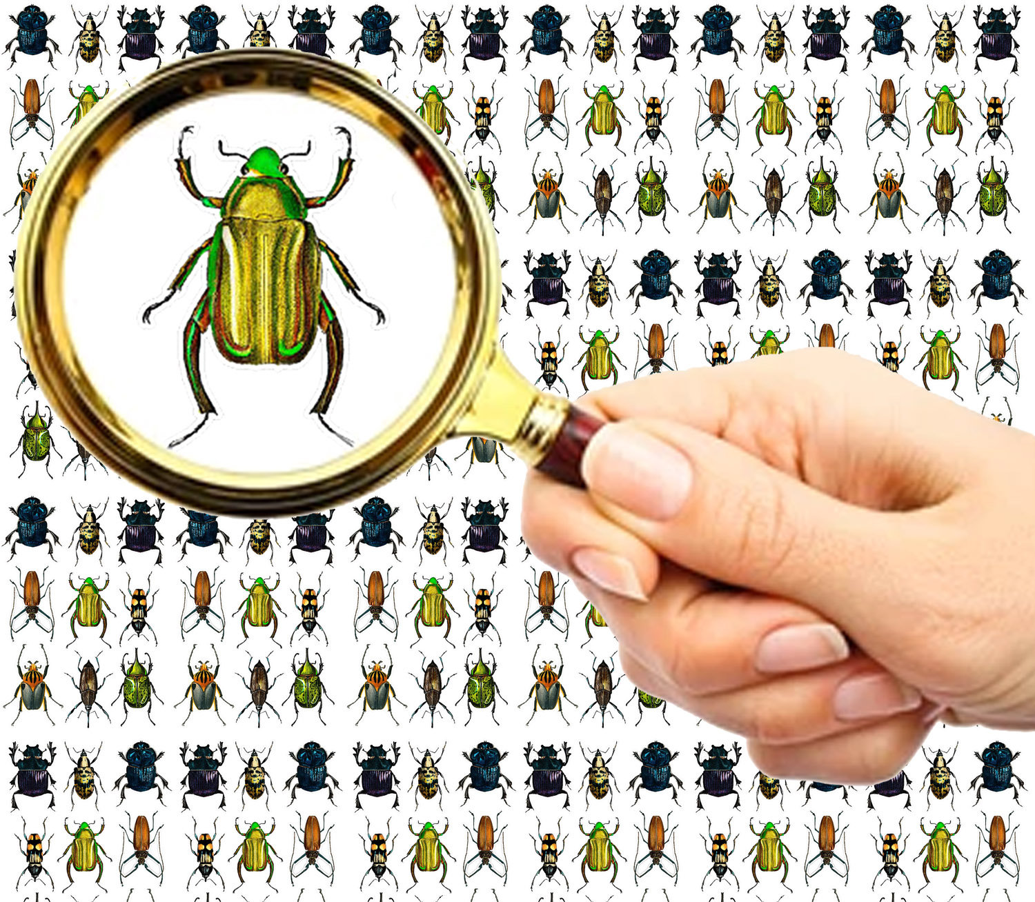 Nagel Aufkleber | 5 Blatt Creepy Crawly Bright Bugs & Beetles Flonz 101-207 Nagel Aufkleber | 5 Blatt Creepy Crawly Bright Bugs & Beetles Flonz 101-207 von Etsy - flonz
