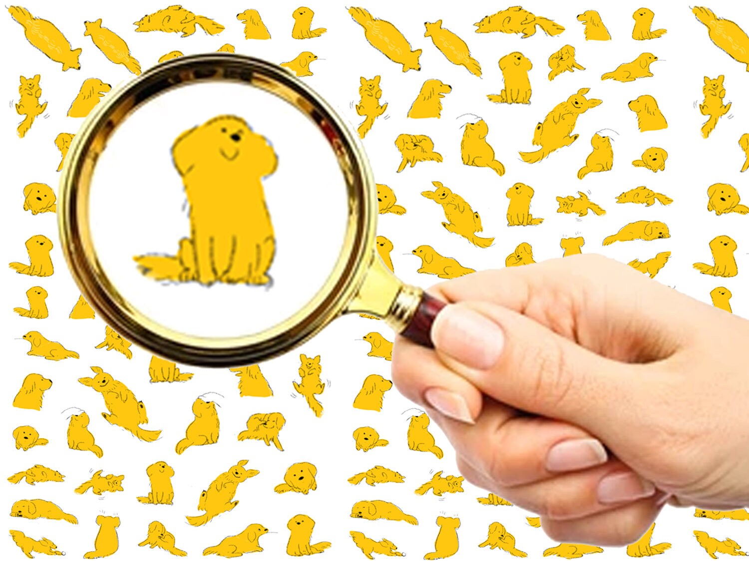 Nagel Aufkleber | 5 Blatt Süße Happy Sunshine Gelb Labrador Hunde Flonz 101-101 Nagel Aufkleber | 5 Blatt Süße Happy Sunshine Gelb Labrador Hunde Flonz 101-101 von Etsy - flonz