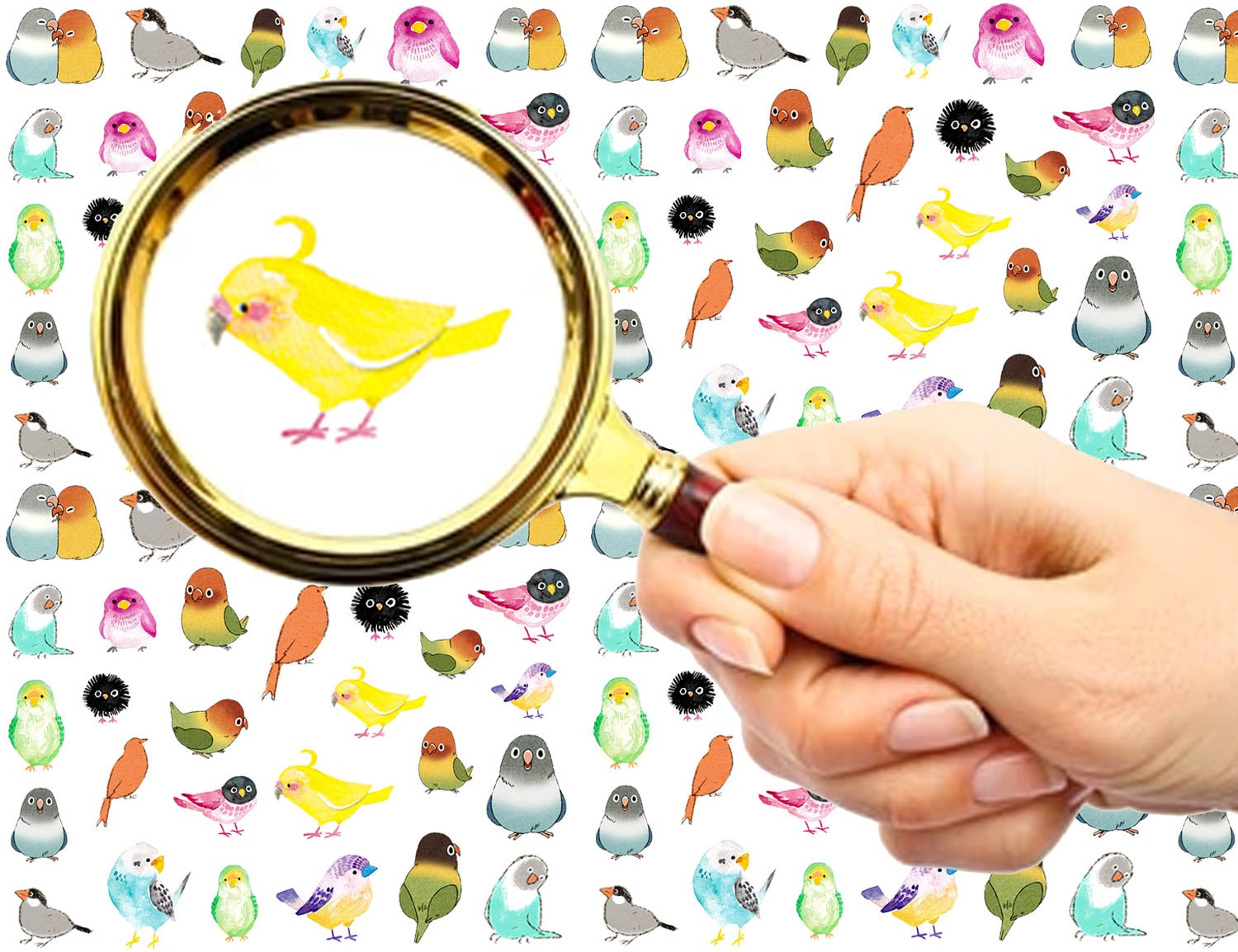 Nagelaufkleber | 5 Blatt Entzückende Bunte Kleine Vogelfreunde Flonz 101-115 Nagelaufkleber | 5 Blatt Entzückende Bunte Kleine Vogelfreunde Flonz 101-115 von Etsy - flonz