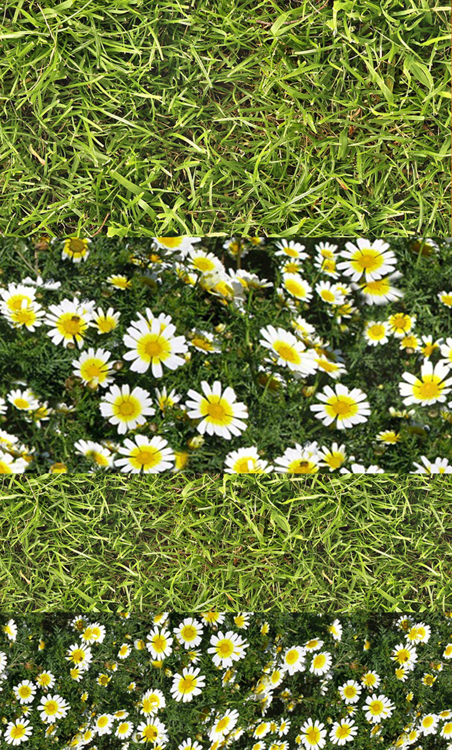Nagelaufkleber | 5 Blatt Grünes Gras Und Niedliche Daisies Flonz 102-310 Nagelaufkleber | 5 Blatt Grünes Gras Und Niedliche Daisies Flonz 102-310 von Etsy - flonz