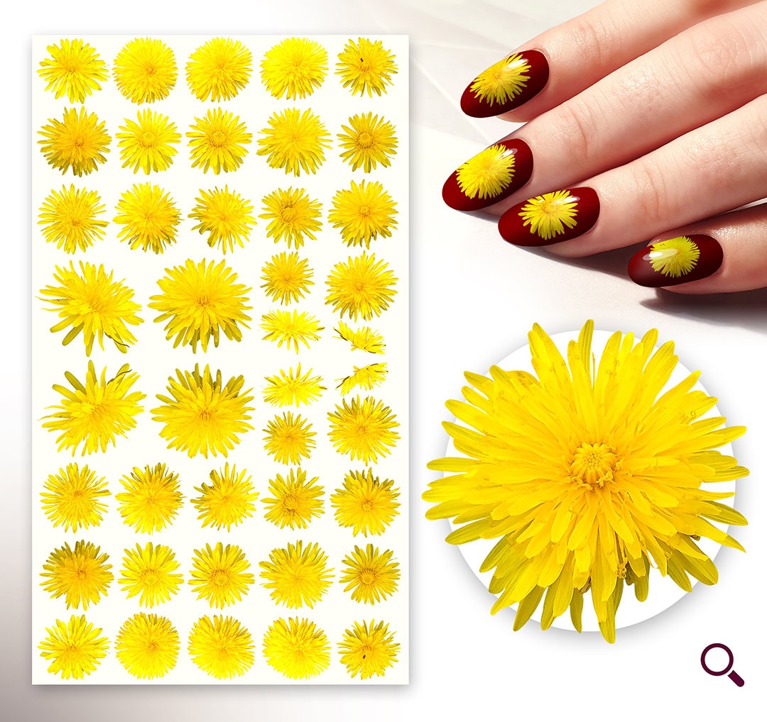 Nagelaufkleber | 5 Blatt Hellgelb Daisy Niedliche Kleine Blumen Flonz 101-227 Nagelaufkleber | 5 Blatt Hellgelb Daisy Niedliche Kleine Blumen Flonz 101-227 von Etsy - flonz
