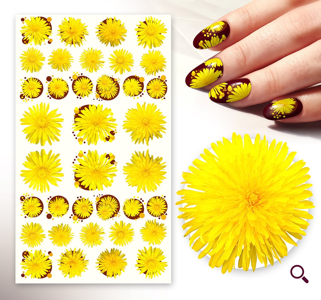 Nagelaufkleber | 5 Blatt Tolle Gelbe Daisy Blumen Süß Sommer Und Frühling Flonz 101-228 Nagelaufkleber | 5 Blatt Tolle Gelbe Daisy Blumen Süß Sommer Und Frühling Flonz 101-228 von Etsy - flonz