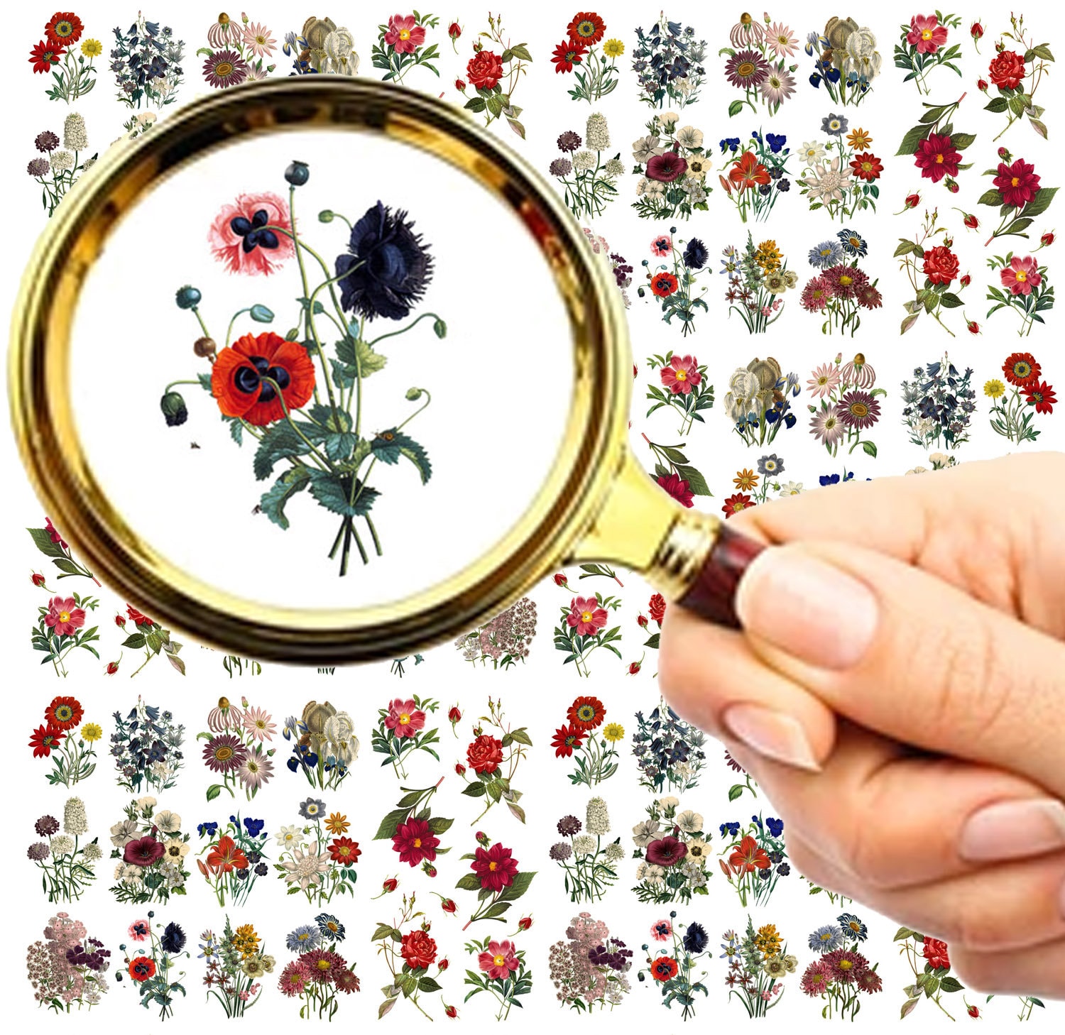 Nagelaufkleber | 5 Blatt Wildblumen Und Wunderschöne Zierliche Pflanzen Flonz 101-203 Nagelaufkleber | 5 Blatt Wildblumen Und Wunderschöne Zierliche Pflanzen Flonz 101-203 von Etsy - flonz