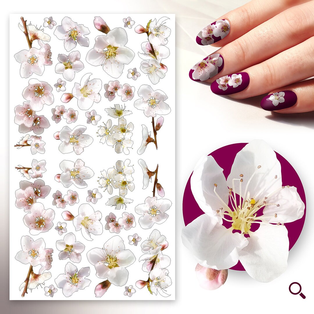 Nageltattoo | 5 Blatt Sakura Kirschblüten Hübsche Blassrosa Knospen Und Blumen Flonz 101-231 Nageltattoo | 5 Blatt Sakura Kirschblüten Hübsche Blassrosa Knospen Und Blumen Flonz 101-231 von Etsy - flonz