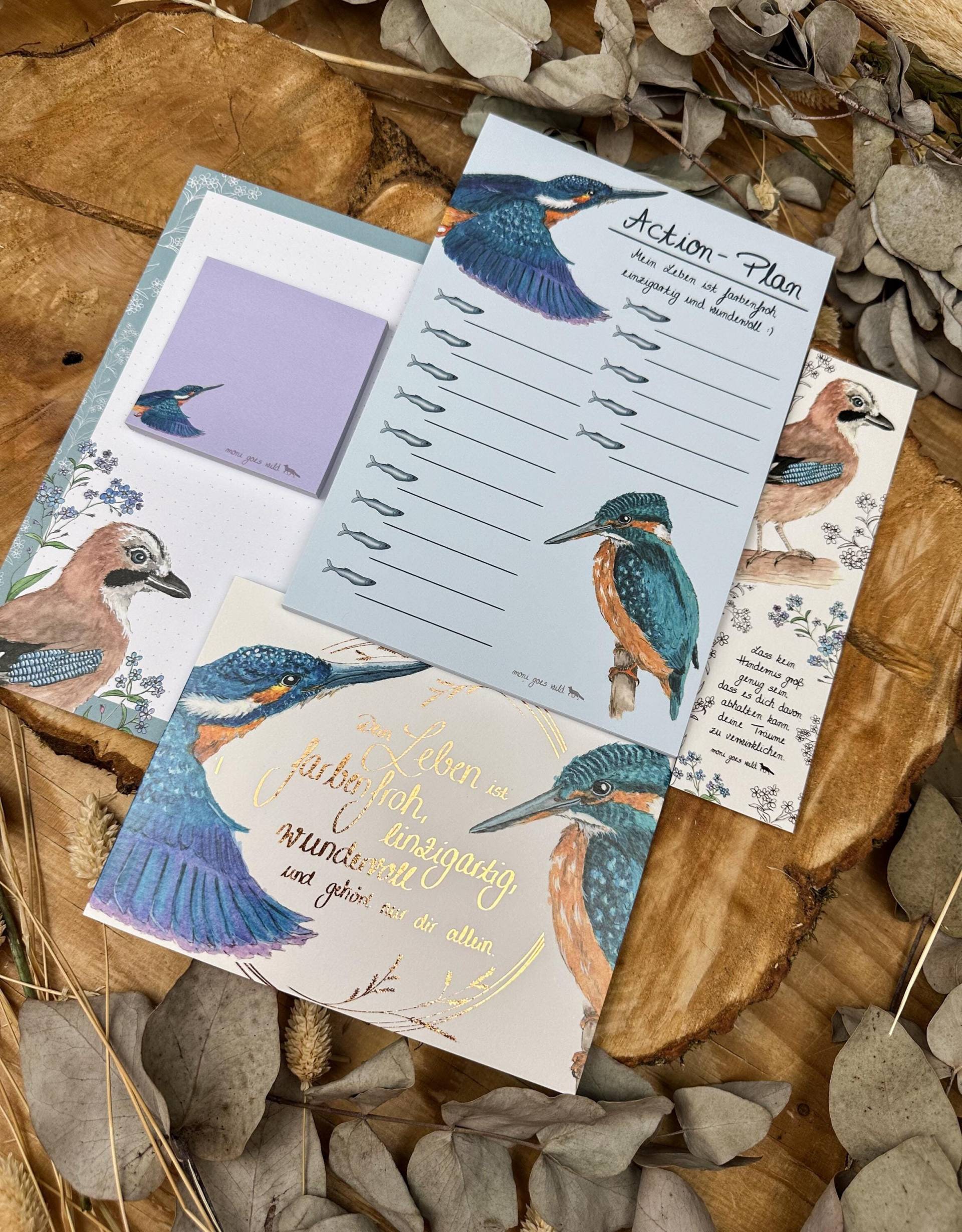 Geschenkset Geschenkbox Für Frauen Bundle Eisvogel Eichelhäher Vögel Vogelfreund Geschenk Mit Tieren Natur Geschenkset Geschenkbox Für Frauen Bundle Eisvogel Eichelhäher Vögel Vogelfreund Geschenk Mit Tieren Natur von Etsy - monigoeswild