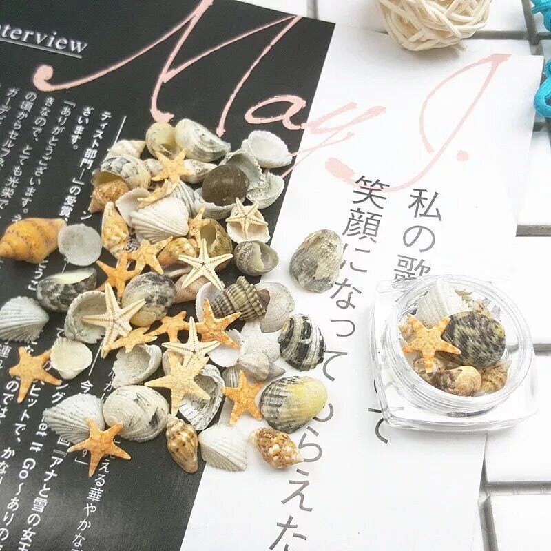 1Jar Nail Art Shell Trompete Conch Seestern Kleine Set Bj57 von Etsy - nailartfairy